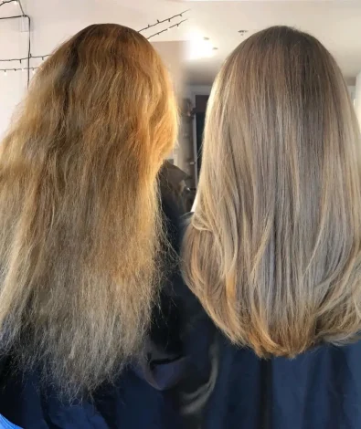 What Is the Best Hair Treatment for Dry Hair?